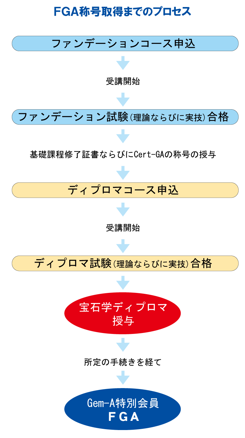 宝石学部 FGA宝石学コース（通学・通信指導） - 日本宝飾クラフト学院